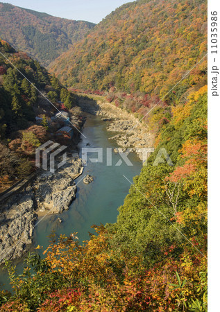 保津峡 紅葉 保津峡 紅葉 11035986