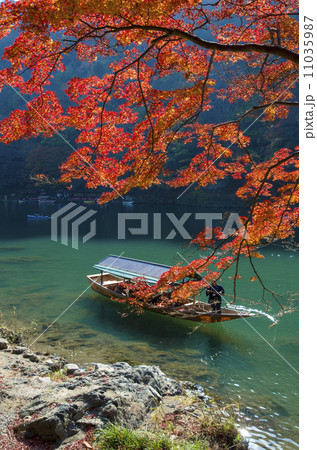 大堰川　紅葉 11035987