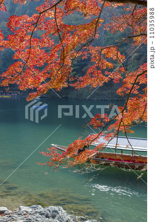 大堰川　紅葉 11035988