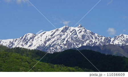 鹿島槍ヶ岳残雪 11036609