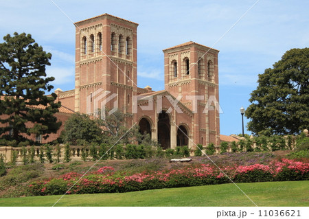 カリフォルニア大学ロサンゼルス校 11036621