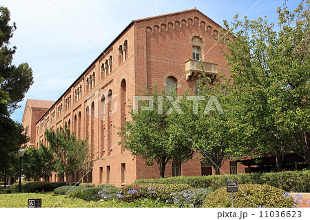 カリフォルニア大学ロサンゼルス校 カリフォルニア大学ロサンゼルス校 11036623