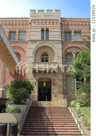 カリフォルニア大学ロサンゼルス校 11036626