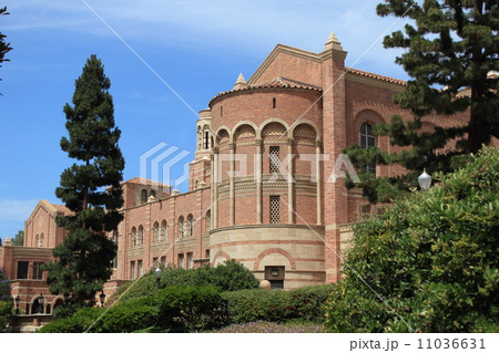 カリフォルニア大学ロサンゼルス校 11036631