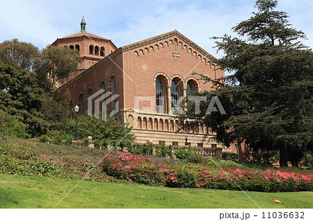 カリフォルニア大学ロサンゼルス校 11036632