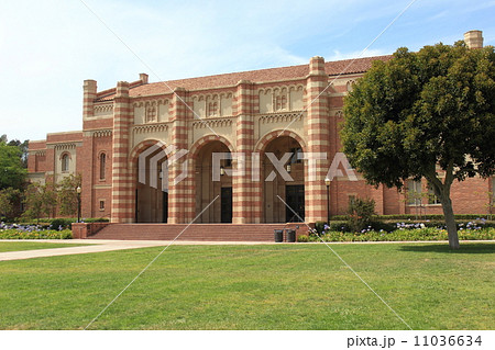 カリフォルニア大学ロサンゼルス校 カリフォルニア大学ロサンゼルス校 11036634