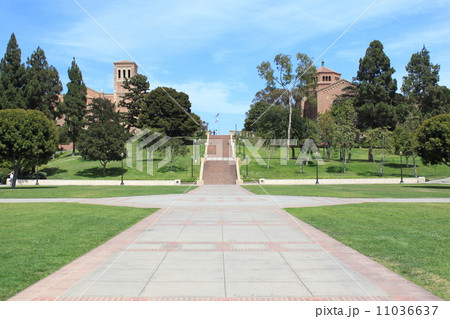 カリフォルニア大学ロサンゼルス校 カリフォルニア大学ロサンゼルス校 11036637