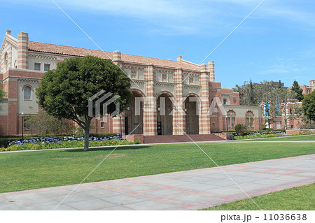 カリフォルニア大学ロサンゼルス校 11036638