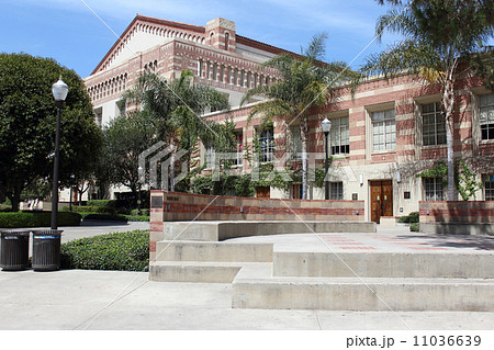 カリフォルニア大学ロサンゼルス校 カリフォルニア大学ロサンゼルス校 11036639