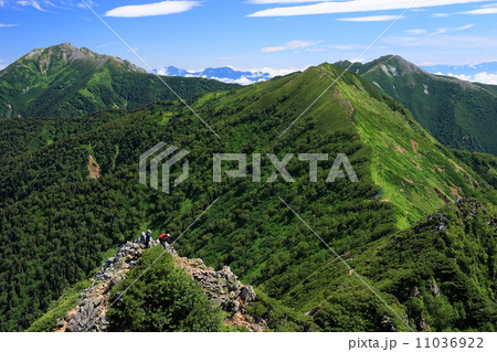 鳴沢岳から縦走路を行く登山者と岩小屋沢岳・鹿島槍ヶ岳 11036922