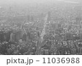 台北市の街並み 11036988