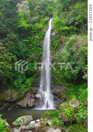 大樽の滝（高知県・越知町） 11037164