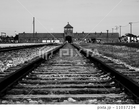 Birkenau concentration camp 11037234