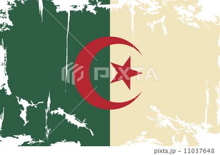Algerian grunge flag. Vector illustration 11037648