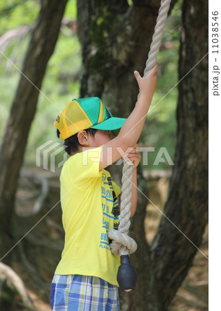 ロープをつかむ少年 ロープをつかむ少年 11038546
