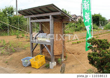 野菜の無人販売所の写真素材 [11038613] - PIXTA