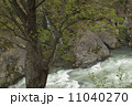 滝上錦仙峡の新緑 曇天 滝上錦仙峡の新緑 曇天 11040270