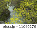 滝上錦仙峡の新緑 曇天 滝上錦仙峡の新緑 曇天 11040276