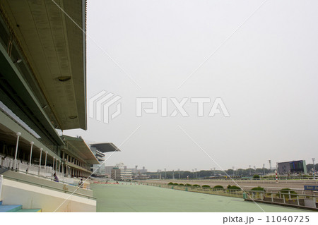 大井競馬場スタンド 11040725