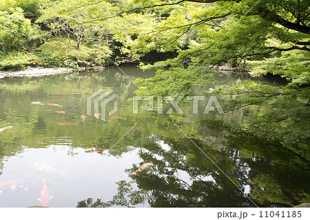 八芳園 八芳園 11041185