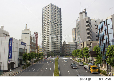 白金台、桜田通り 白金台、桜田通り 11041256