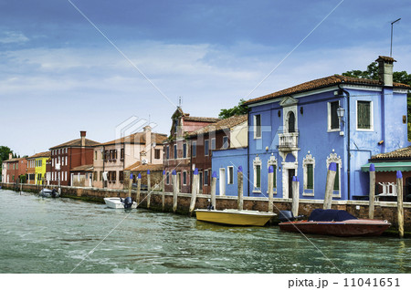 Multicolored houses in Venice 11041651