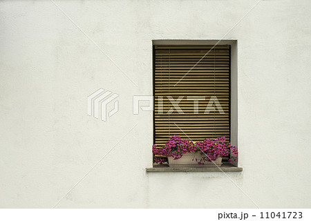 Venetian windows with flowers 11041723