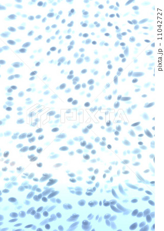 水玉模様 水玉模様 11042727