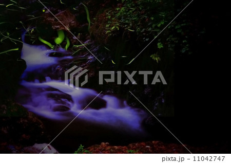 乱舞 乱舞 11042747