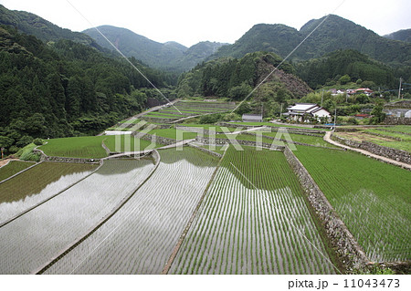 竹地区の棚田 竹地区の棚田 11043473