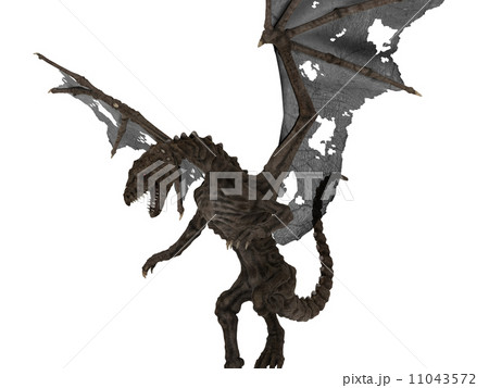 ドラゴン 11043572