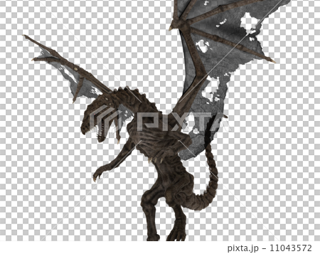 ドラゴン 11043572
