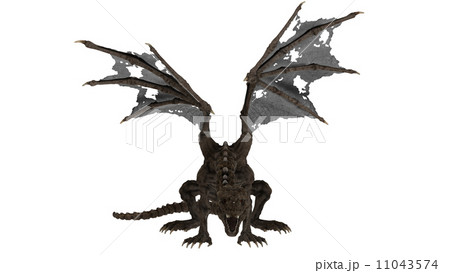 ドラゴン 11043574