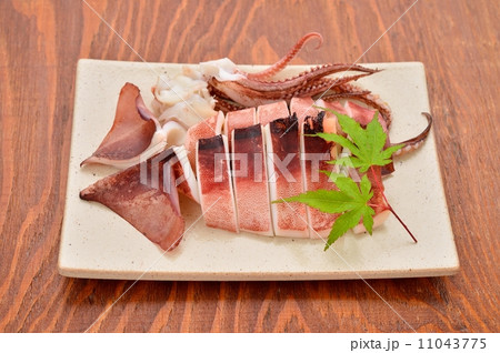 イカの一夜干し。 11043775