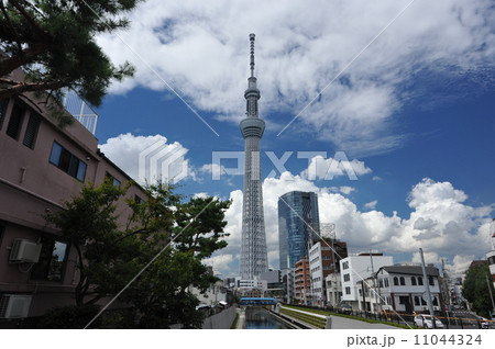 東京スカイツリーのある風景 11044324