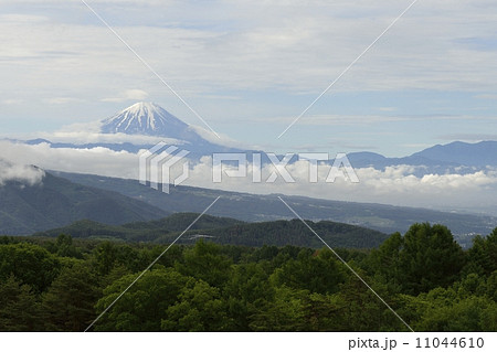 富士山　大泉高原から 11044610