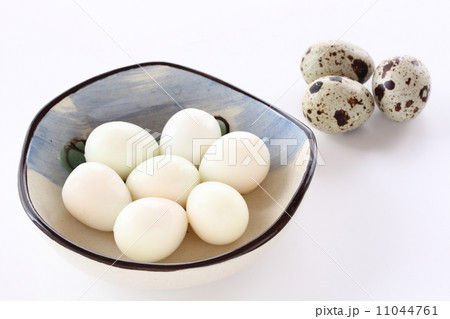 ウズラの茹で卵 11044761