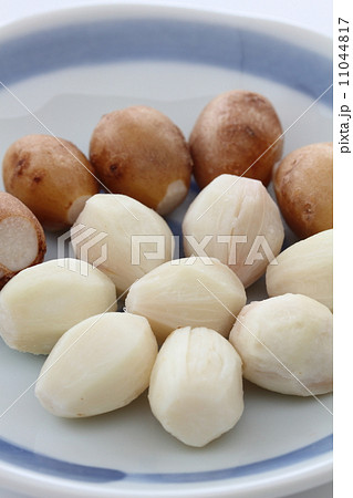 茹でアピオス 茹でアピオス 11044817