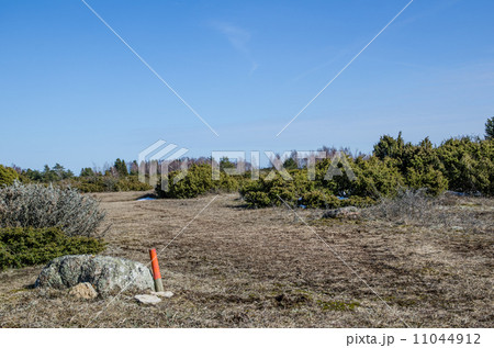 Marked trail in wilderness Marked trail in wilderness 11044912