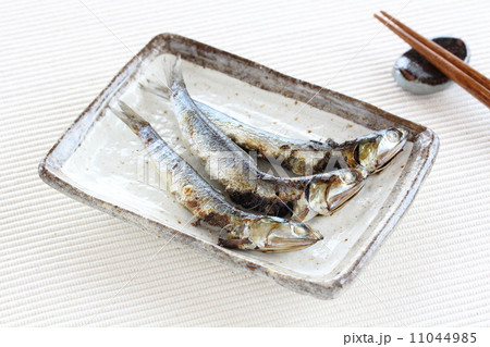メザシの焼魚 メザシの焼魚 11044985