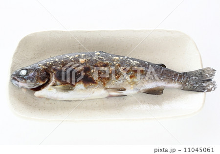 ニジマスの塩焼き 11045061