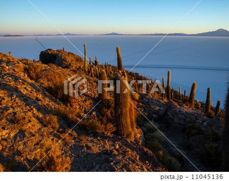 Salar de Uyuni 11045136