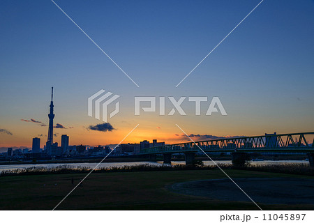 夕暮れ時の東京スカイツリー 11045897