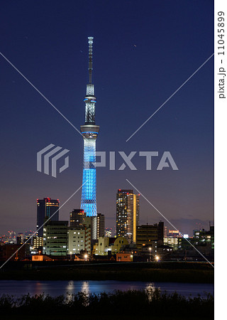 夕暮れ時の東京スカイツリー 11045899