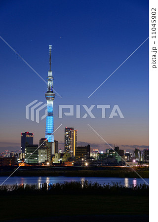 夕暮れ時の東京スカイツリー 11045902