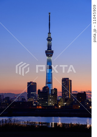 夕暮れ時の東京スカイツリー 11045909