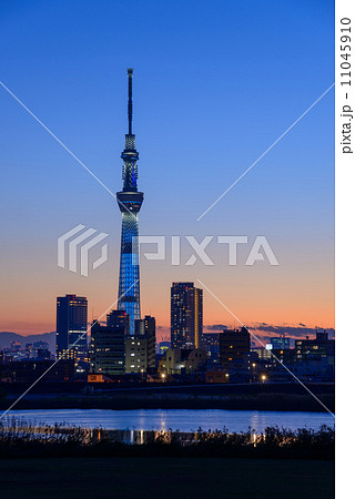 夕暮れ時の東京スカイツリー 11045910