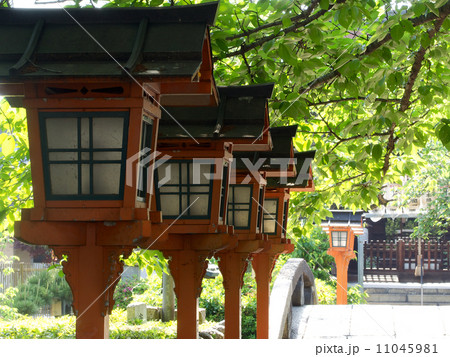 夏の六孫王神社 11045981