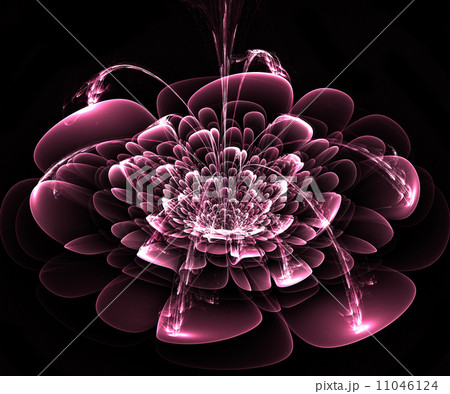 Beautiful pink flower on black background. Computer generated gr 11046124