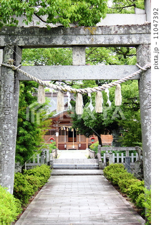 行橋市の正ノ宮正八幡神社 11047392